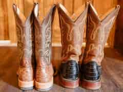 Gavin & Darcie photo 5