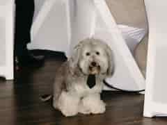 Sam & Sarah photo 46