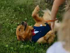 Sam & Sarah photo 48