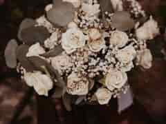 Shelvie & Caitlin photo 5